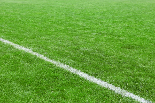 Fotboll fältet stadium bakgrund — Stockfoto