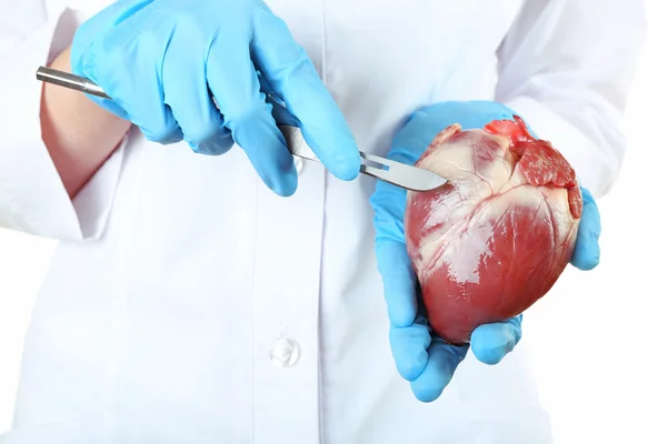 医生抱着心脏器官和手术刀 — 图库照片