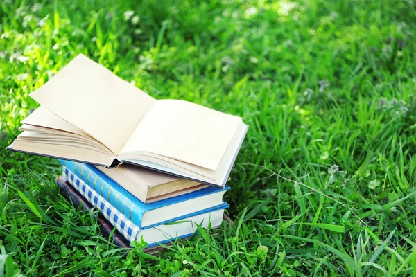 Livres empilés dans l'herbe, dehors — Photo