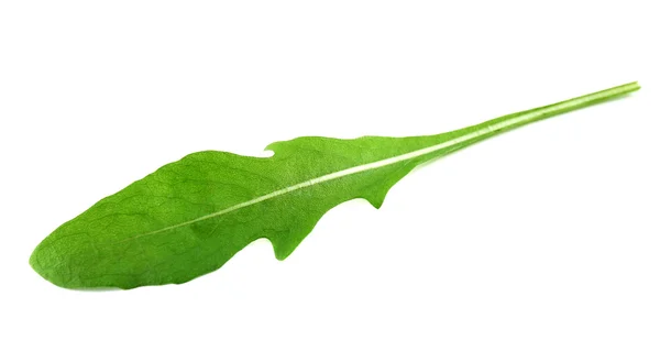 Groene arugula blad geïsoleerd op wit — Stockfoto