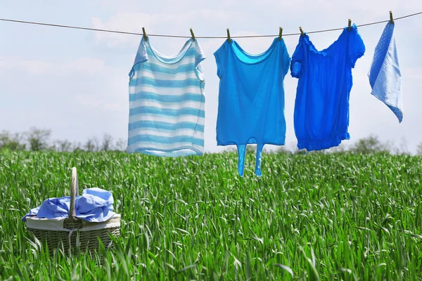 Laundry line with clothes in spring field — Stock Photo, Image