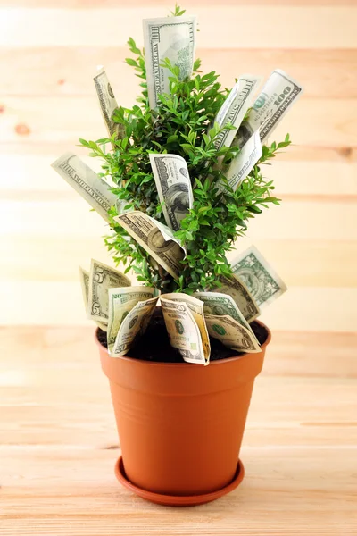 Dekorativní strom v hrnci s penězi na dřevěné pozadí — Stock fotografie