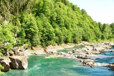 Buzlu yeşil ağaçlar boyunca akan su