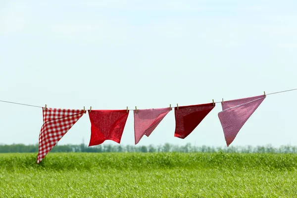 Laundry line with clothes in field — Stock Photo, Image