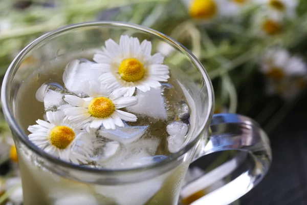 アイス キューブとカモミールの花とカモミール ティー — ストック写真