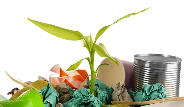 Pile of rubbish with plant — Stock Photo, Image