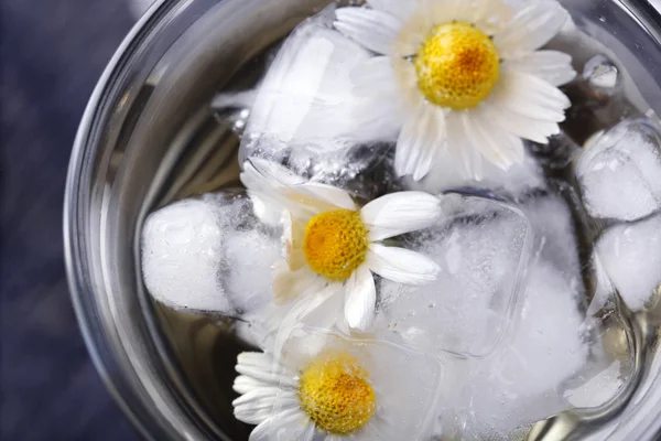 Vaso de té de manzanilla fría con cubitos de hielo y flores de manzanilla, primer plano — Foto de Stock