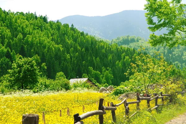 Valla de madera a lo largo de la hermosa pradera sobre la montaña —  Fotos de Stock