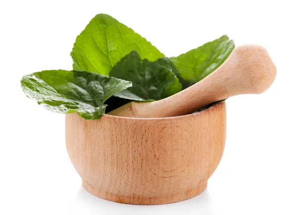 砂浆用草药在白色隔离 — Stockfoto