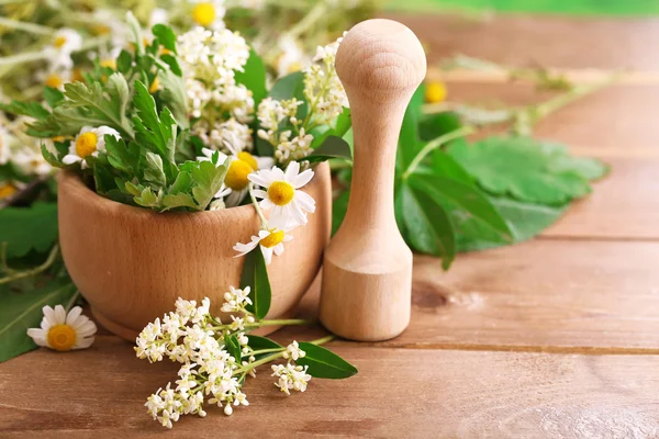 Herbs and flowers with mortar, on wooden table background — Stock Photo, Image