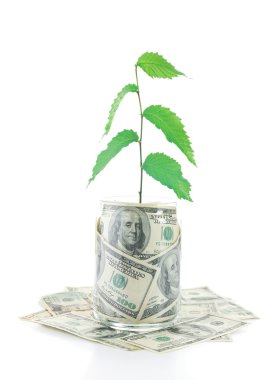 Cam üretim tesisi ile para