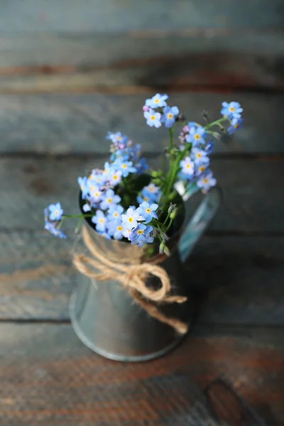 Composition with Forget-me-nots flowers — Stock Photo, Image