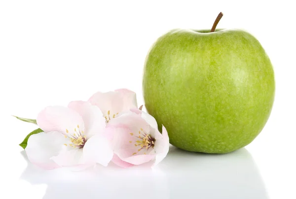 Manzana fresca con flor de manzana —  Fotos de Stock