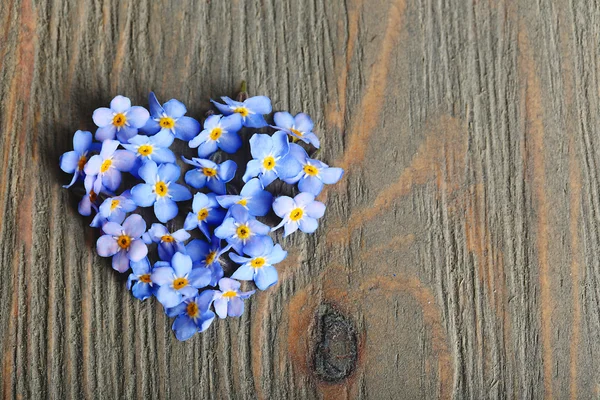 Forget-me-nots niebieskie kwiaty — Zdjęcie stockowe