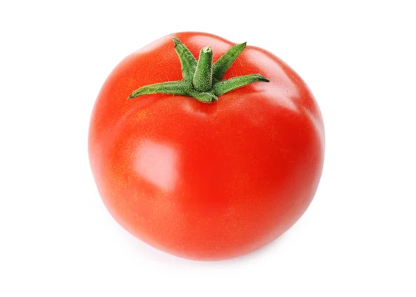 Jedno čerstvé rajče — Stock fotografie