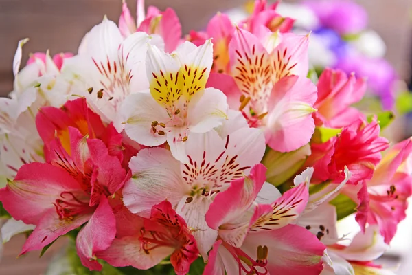 Bellissimo bouquet luminoso — Foto Stock