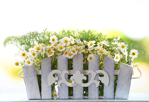 Bouquet of daisies in ornamental flowerpot — Stock Photo, Image