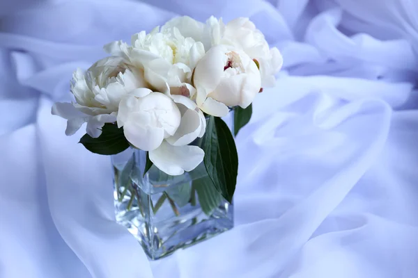 Красивые белые пионы — стоковое фото