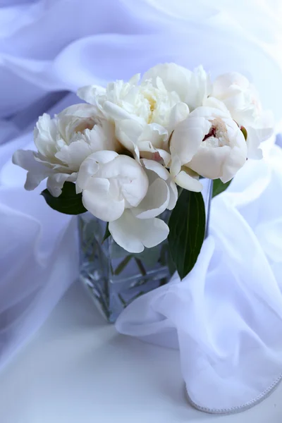 Beautiful white peonies — Stock Photo, Image