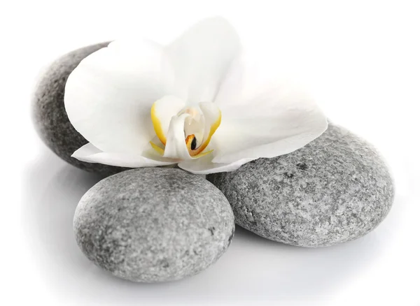 Piedras de spa con flor de orquídea —  Fotos de Stock