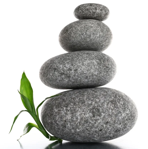 Stack of spa stones with green leaves — Stock Photo, Image