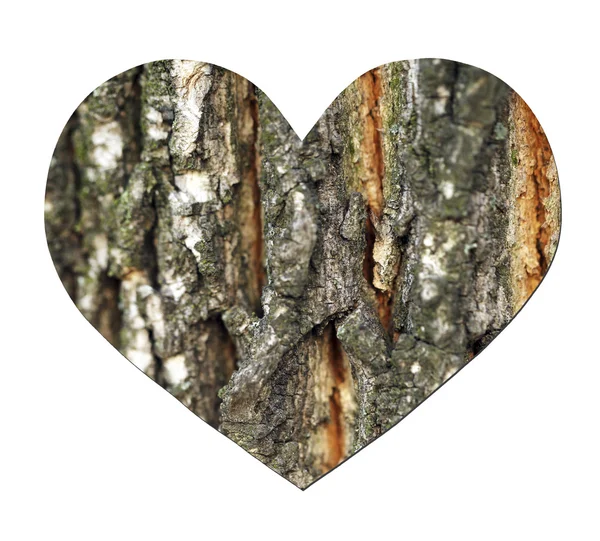 나무 심장 흰색 절연 — 스톡 사진