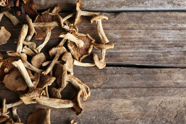 Funghi secchi su fondo di legno — Foto Stock