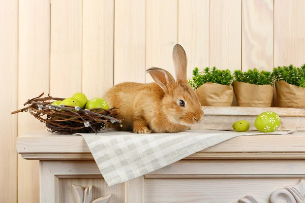 Carino coniglio rosso con uova di Pasqua su scaffale su sfondo parete di legno — Foto Stock