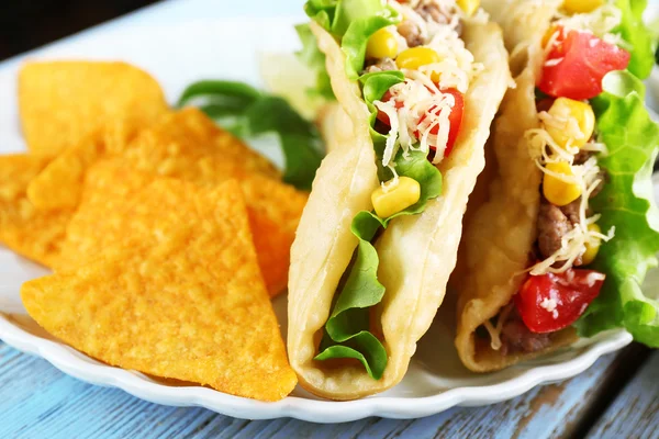 Taco saboroso com batatas fritas e legumes nachos na placa de perto — Fotografia de Stock