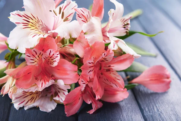 Beautiful alstroemeria on wooden background — Stock Photo, Image