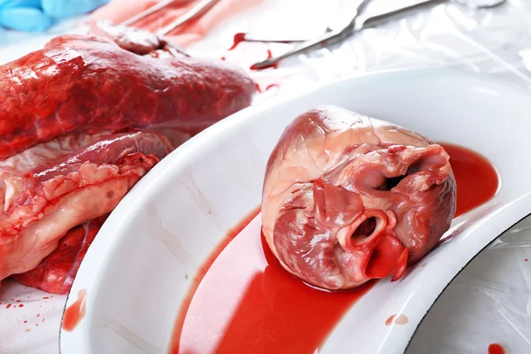 Órgão cardíaco na bandeja de metal médica de perto — Fotografia de Stock