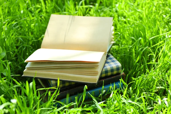 Stacked books in grass, outside — Stock Photo, Image