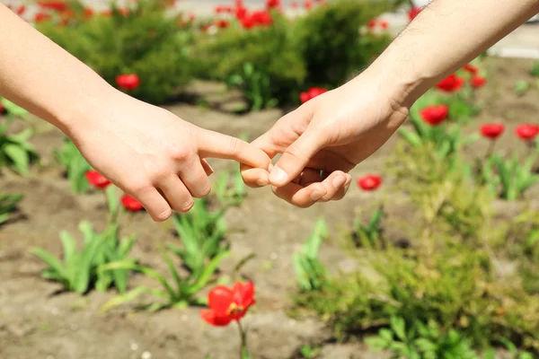 Couple holding hands on blurred background — Stock Photo, Image