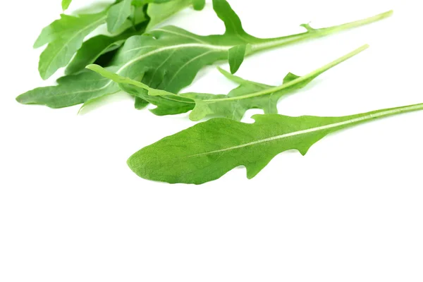 Folhas de arugula verde isoladas em branco — Fotografia de Stock