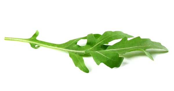 Grünes Rucolablatt isoliert auf weißem Hintergrund — Stockfoto