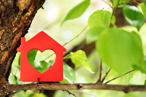 House on tree, close up — Stock Photo, Image