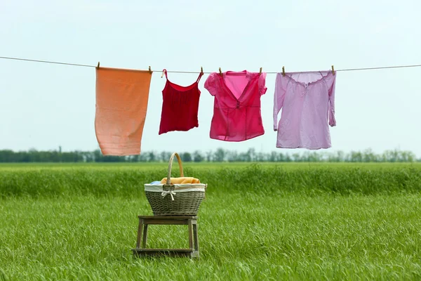 Line with clothes in field — Stock Photo, Image