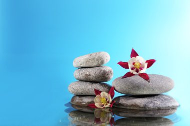 mavi arka plan üzerinde çiçekler olan spa taş yığını