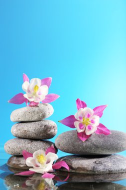 mavi arka plan üzerinde çiçekler olan spa taş yığını