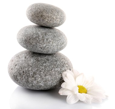 beyaz izole papatya ile spa taşlar yığını