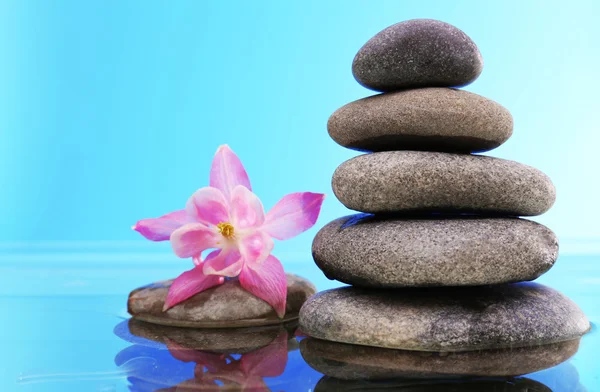 Stack of spa stones with flower on blue background — Stock Photo, Image