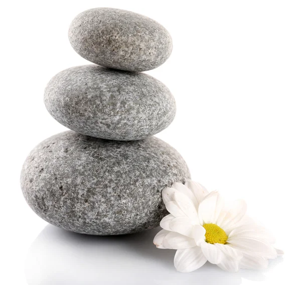 Stack of spa stones with chamomile isolated on white — Stock Photo, Image