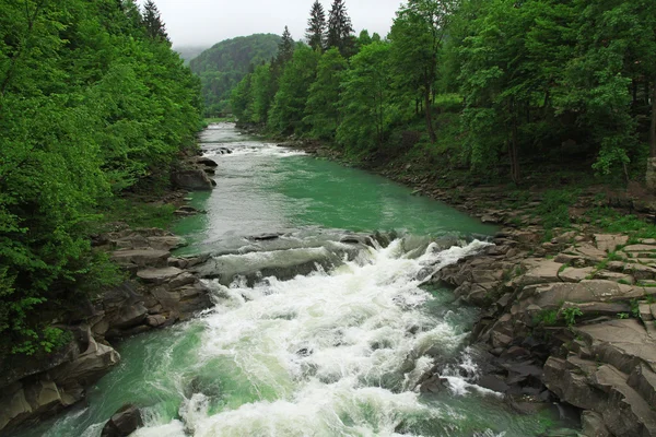 Agua que fluye sobre rocas a lo largo de árboles verdes en el parque —  Fotos de Stock