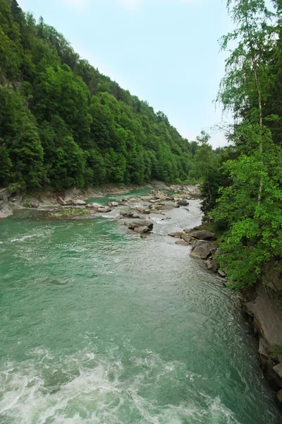 Eau coulant sur les rochers le long des arbres verts dans le parc — Photo