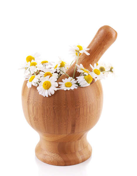 Миномет с травами, выделенными на белом
