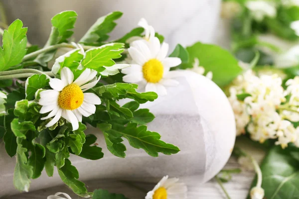 Herbs and flowers with mortar, on light background — Stock Photo, Image