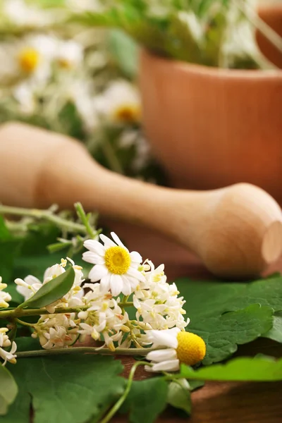 Kruiden en bloemen met mortel, op houten tafel achtergrond — Stockfoto