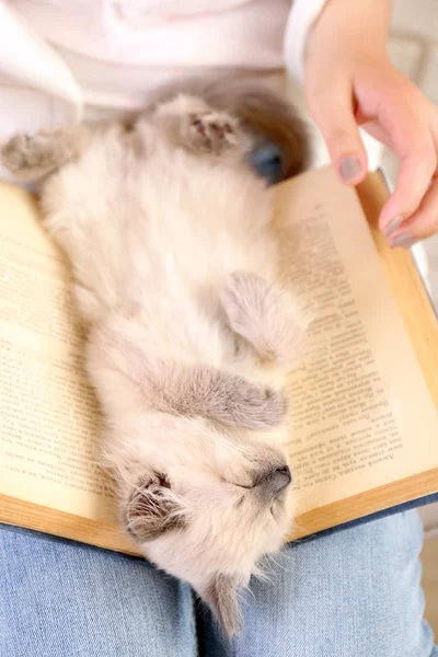 Jeune femme tenant chat et vieux livre, gros plan — Photo