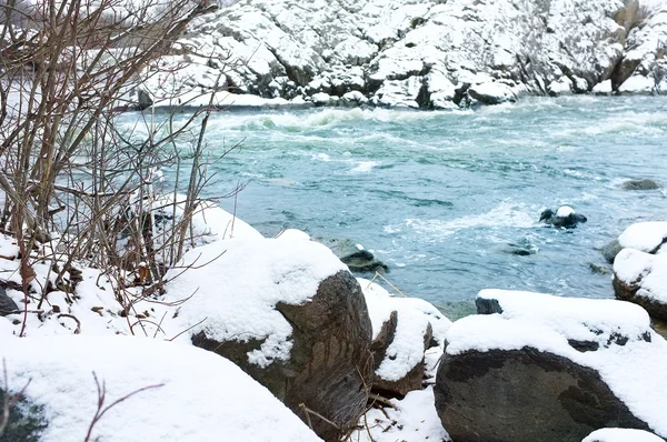 Winterlandschaft aus Bäumen und Fluss mit Schnee — Stockfoto