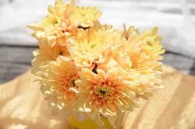 sürahi kumaş arka plan üzerinde güzel krizantem